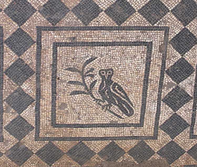 Ancient Roman Floor Mosaic Metro C Archeology