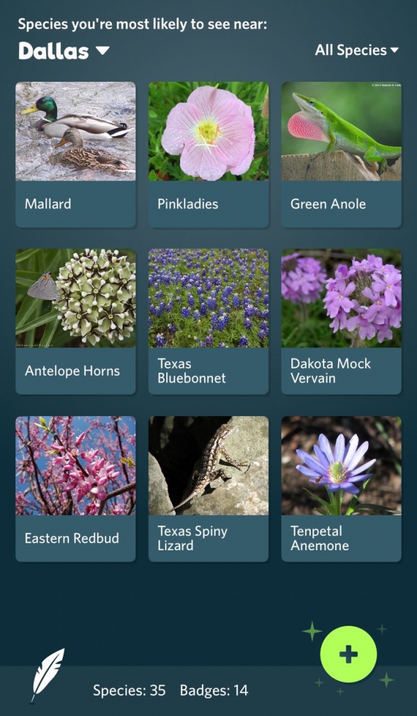 iNaturalist App Uses Image Recognition Tech to Identify Plants and Animals
