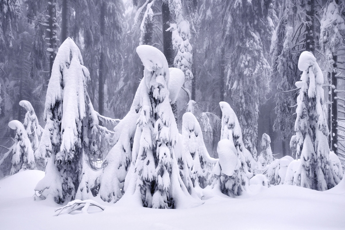 Winter’s Tale Landscape Photography by Kilian Schönberger