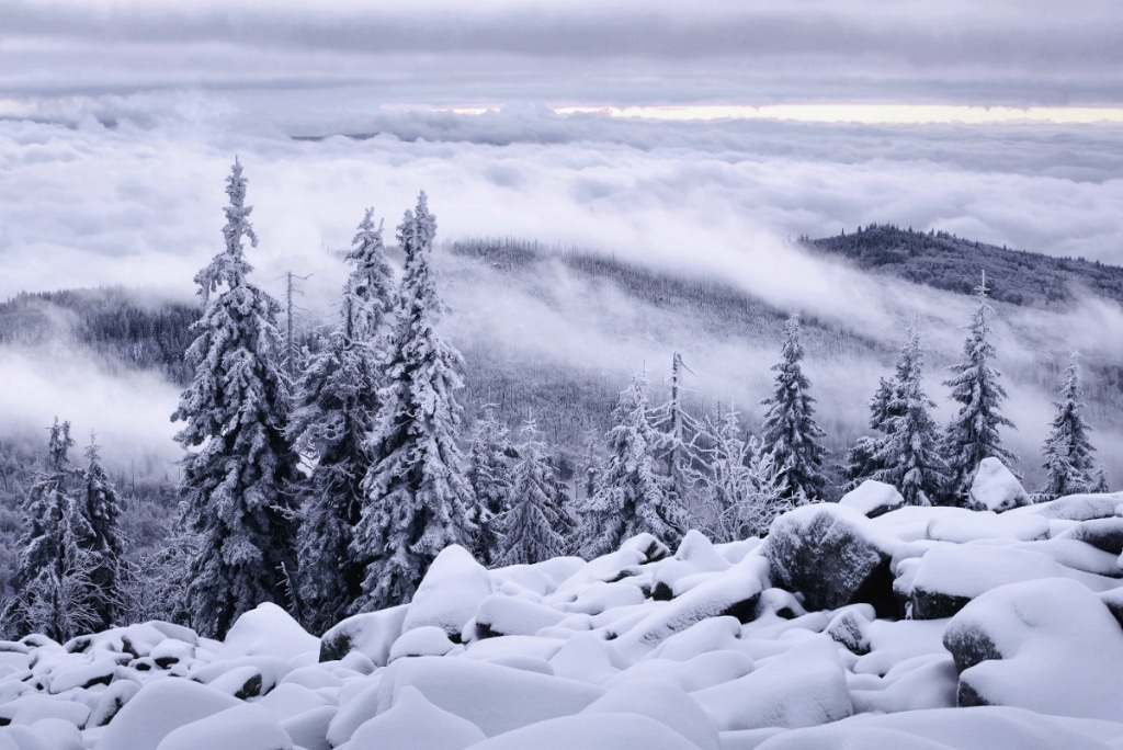 Landscape Photography Series Tells “Winter’s Tale” of Snowy Forests