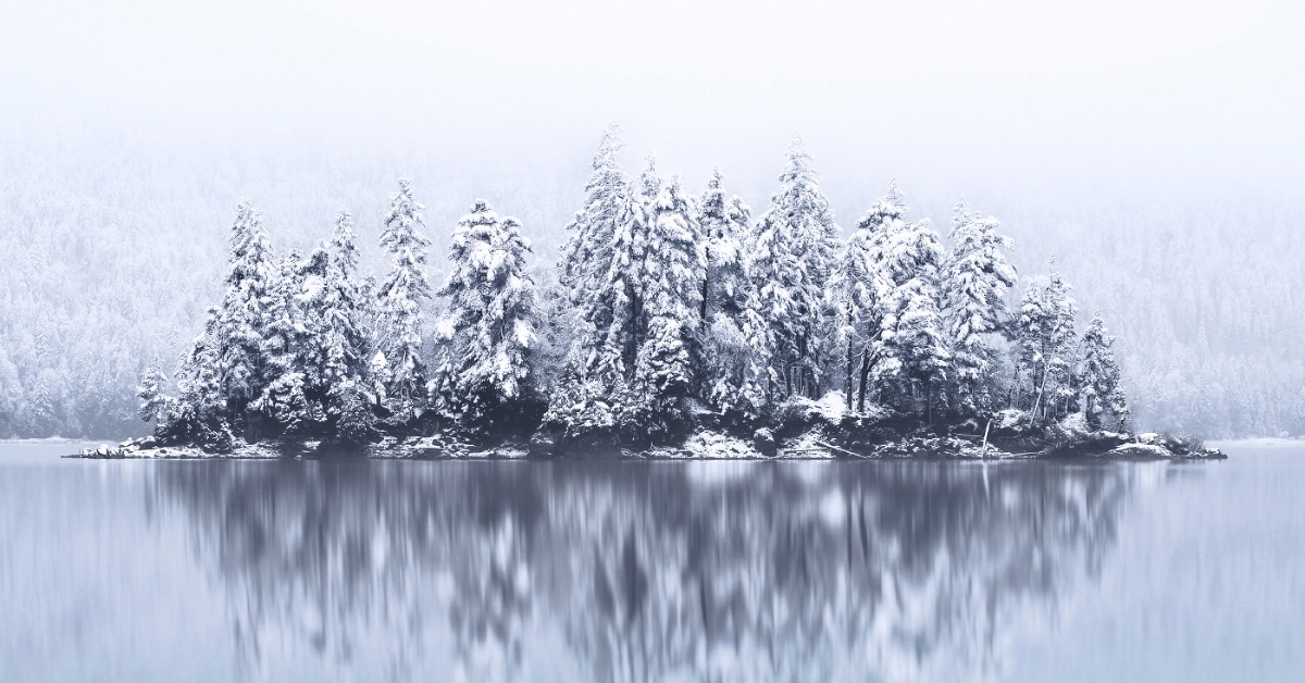 Landscape Photography Series Tells Winter S Tale Of Snowy Forests