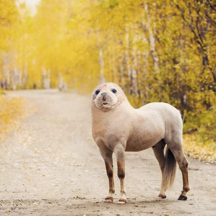 two animals mixed together