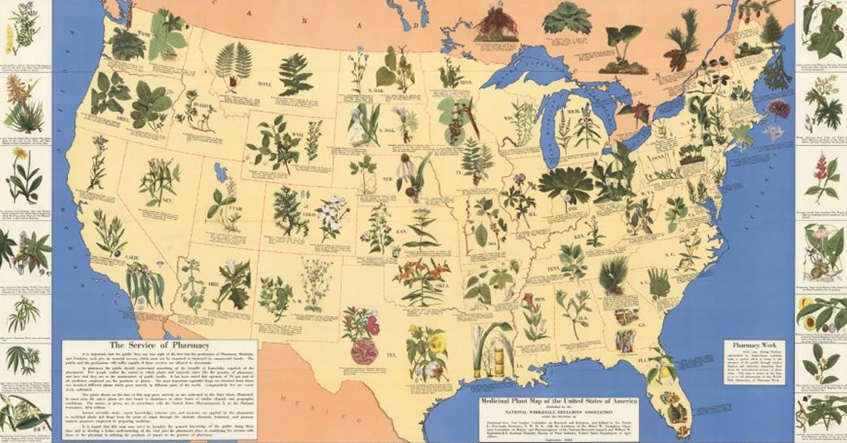 medicinal plant map of the united states Medicinal Plant Map Of The United States Shows Medicinal Plants By medicinal plant map of the united states