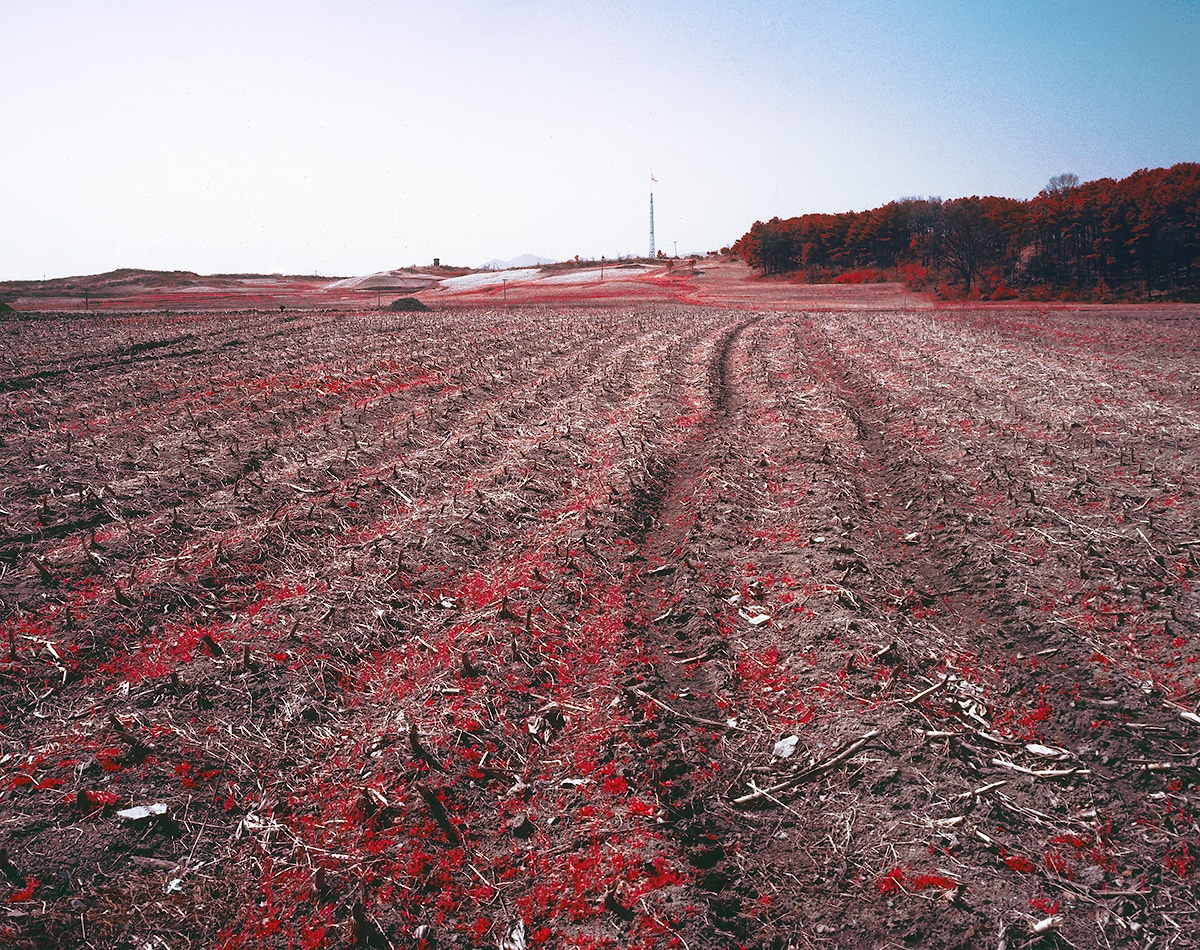 Kodak Aerochrome film Karim Sahai