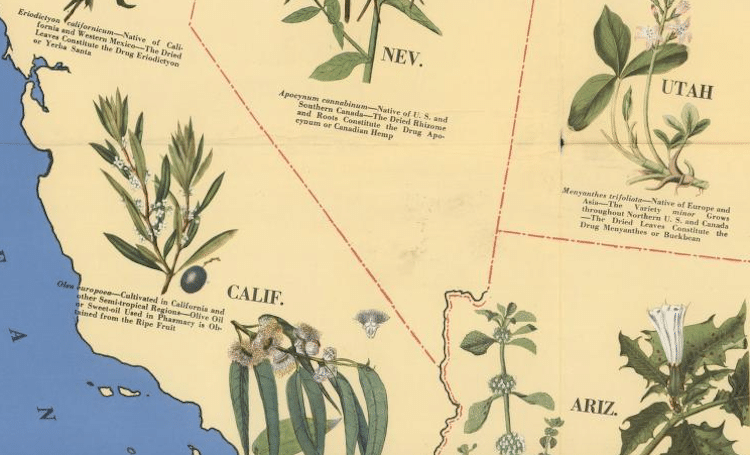 Medicinal Plant Map of the United States