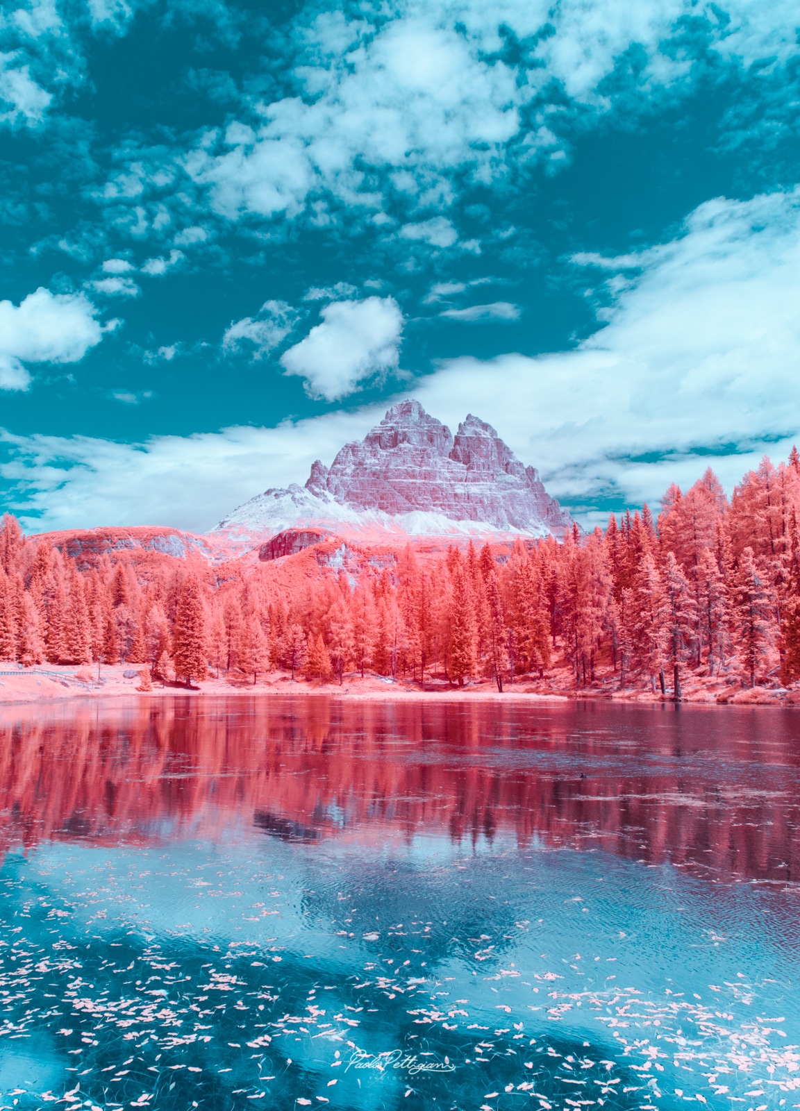 Infrared Photography Turns Swiss Landscapes into Pink 