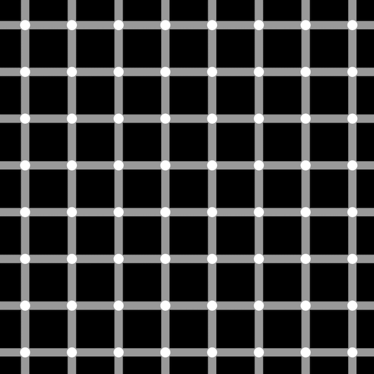 Scintillating Grid Optical Illusion