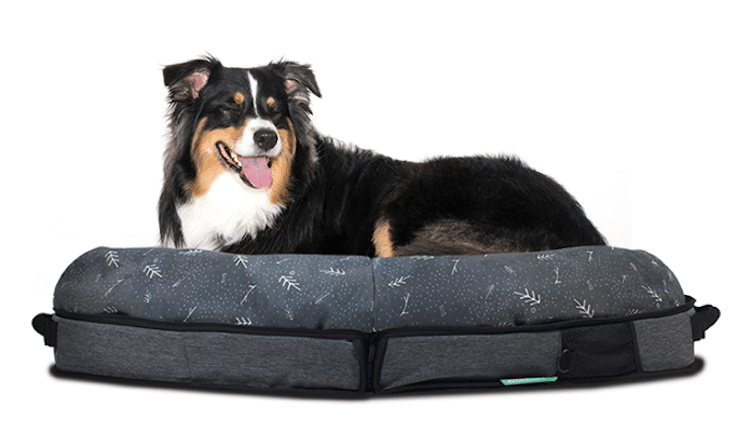 Spruce Travel Dog Bed Portable Dog Bed Dog Suitcase Dog Luggage