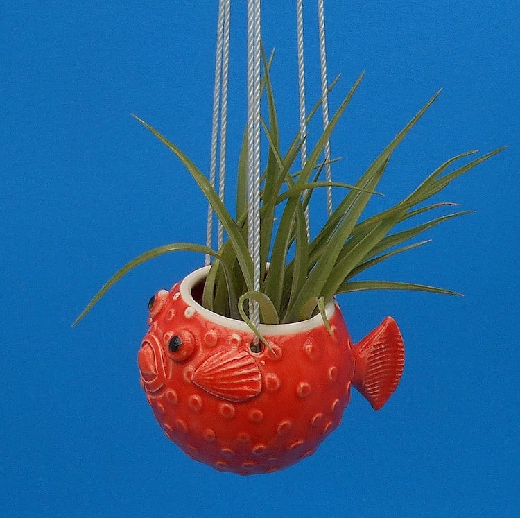 Air Plant Holder Ocean Animals Animal Planters Hanging Planters