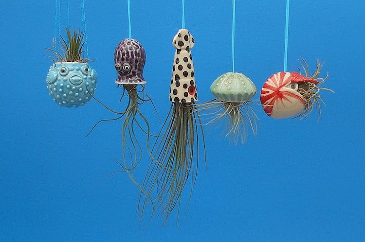 Air Plant Holder Ocean Animals Animal Planters Hanging Planters