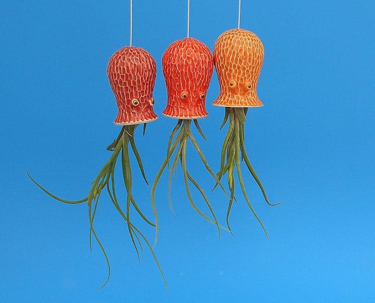 Air Plant Holder Ocean Animals Animal Planters Hanging Planters