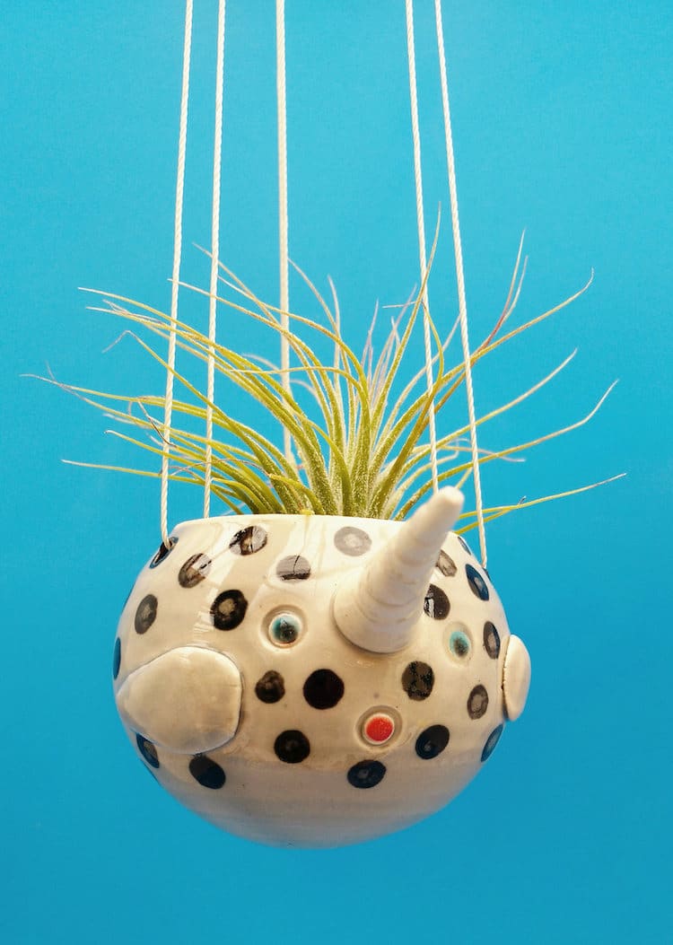 Air Plant Holder Ocean Animals Animal Planters Hanging Planters