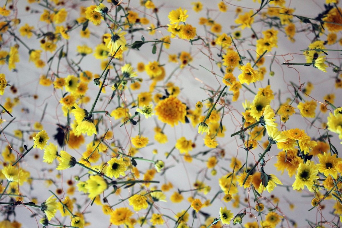 Hanging Flowers Installation Art by Rebecca Louise Law