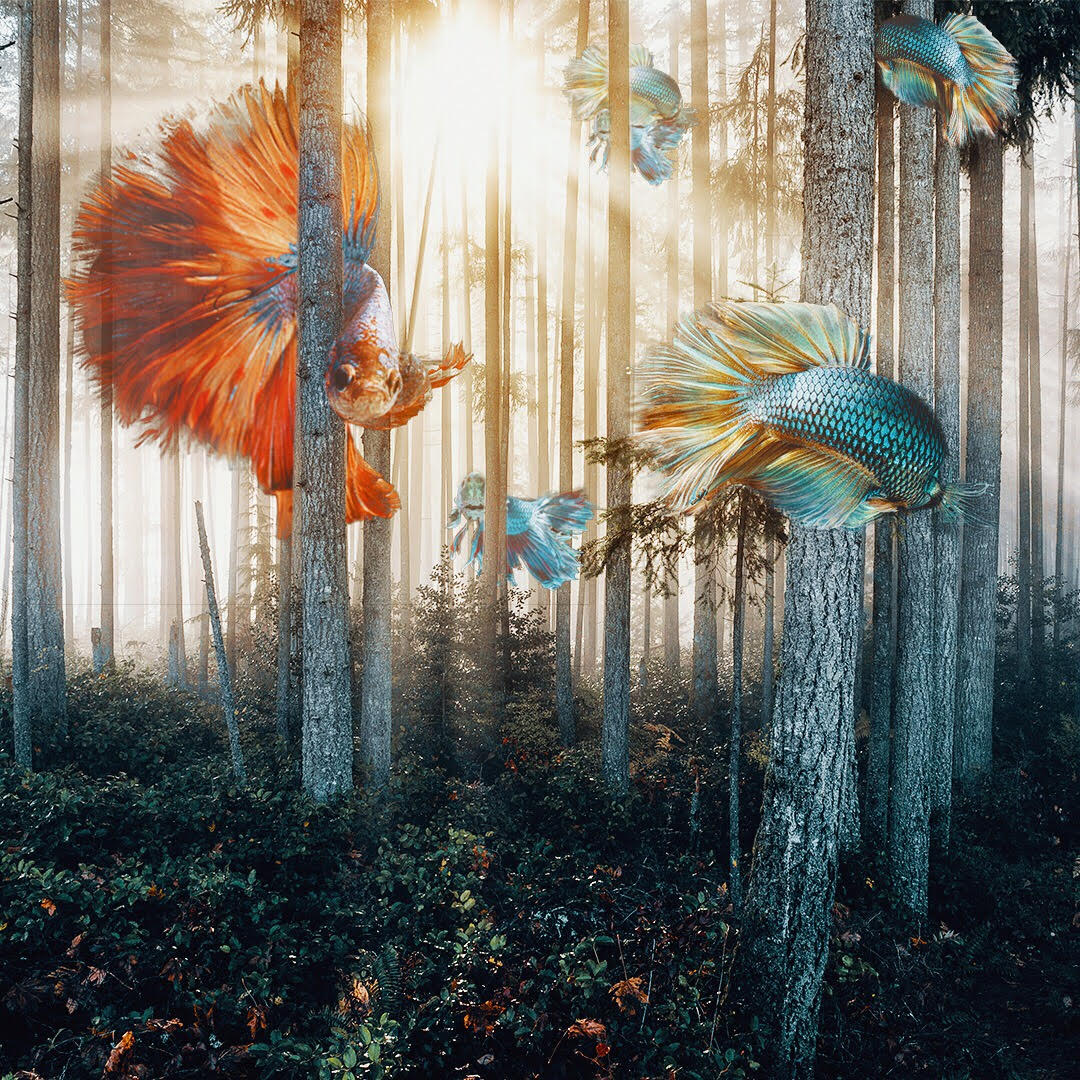 Giant Animals Surrealism Photography by Mani Photography