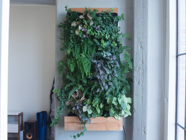 Hanging Succulent Planter