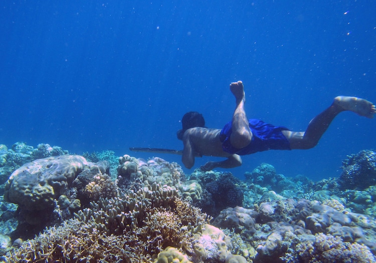 Bajau Freediving Genetics