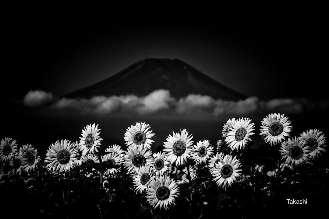 Mount Fuji Photography by Takashi Nakazawa