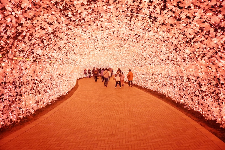 Nabana no Sato Light Tunnel