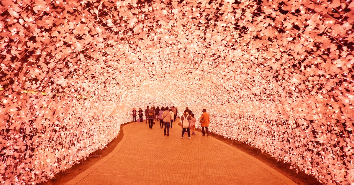 Incredible Nabana no Sato Light Tunnels Made from Millions of LED Bulbs