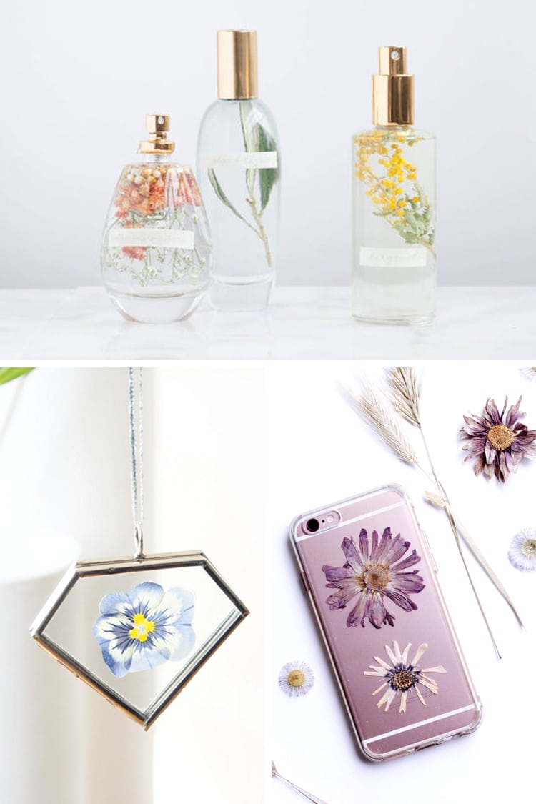 Pressed Flowers DIY 