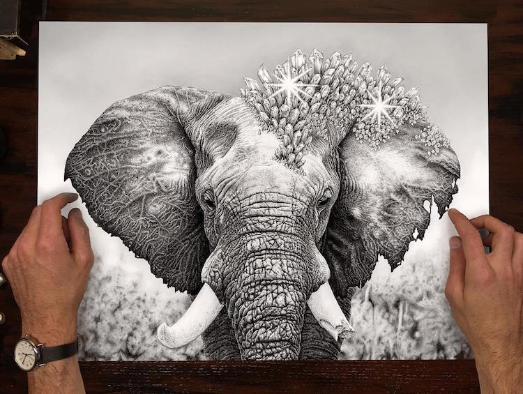 Stunning Pen Drawings Created with Thousands of Tiny Dots!