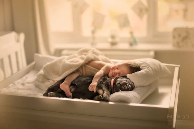 Charming Newborn Photos Feature Sleeping Babies With Animals