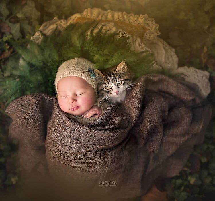 Charming Newborn Photos Feature Sleeping Babies  With Animals 