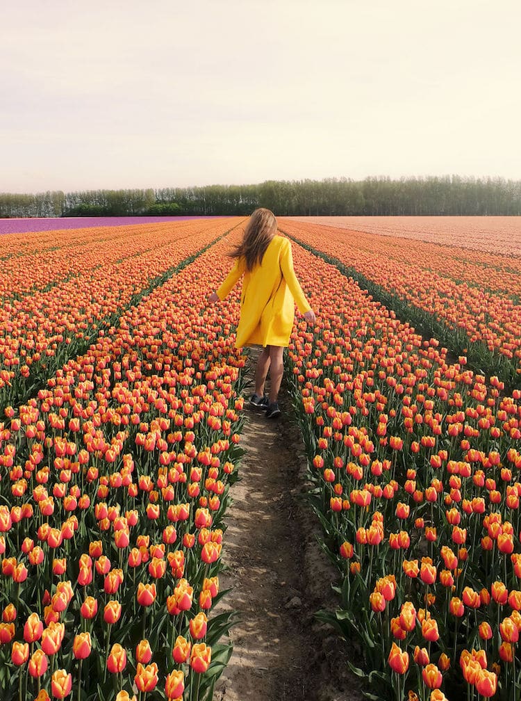 Couple Capture the "Technicolor Wonderland" of Holland's Tulip Season