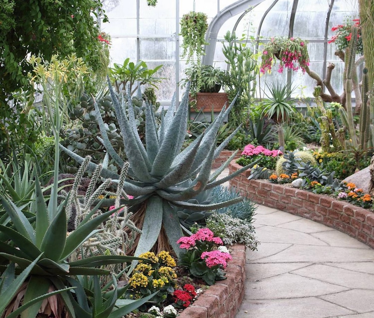 Best Garden Instagrams - Plant Photography Accounts