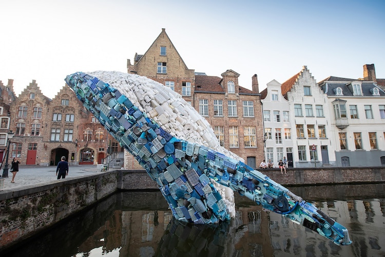 Whale Sculpture in Bruges