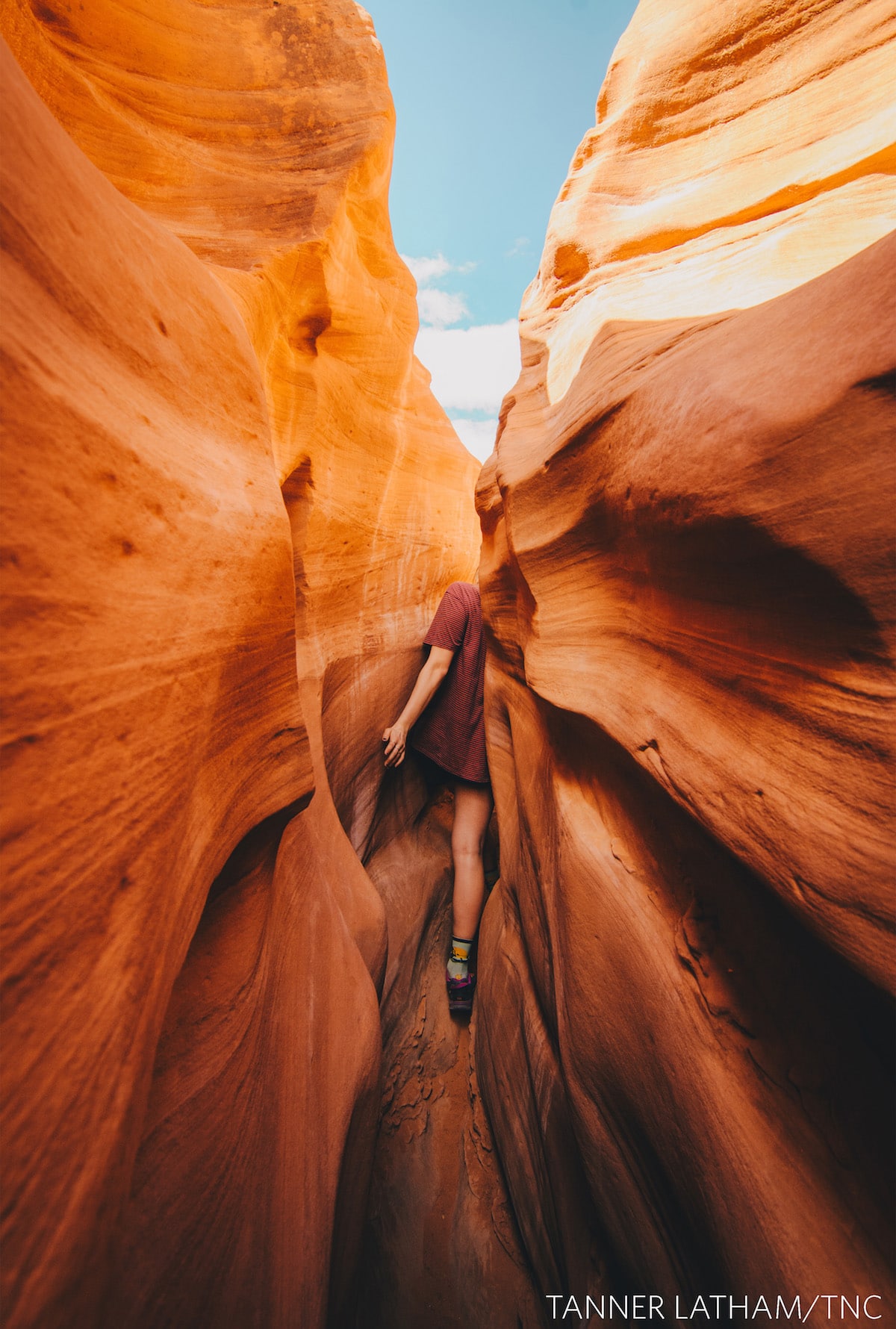 People in Nature Photo by Tanner Latham