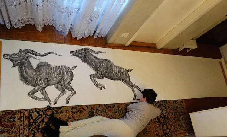 Animal Drawings by Child Prodigy Dušan Krtolica