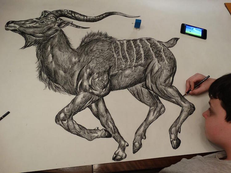 15-Year-Old Child Prodigy Creates Incredible Animal Drawings