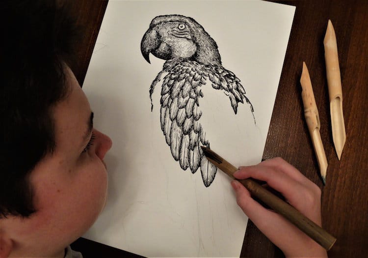 Animal Drawings by Child Prodigy Dušan Krtolica