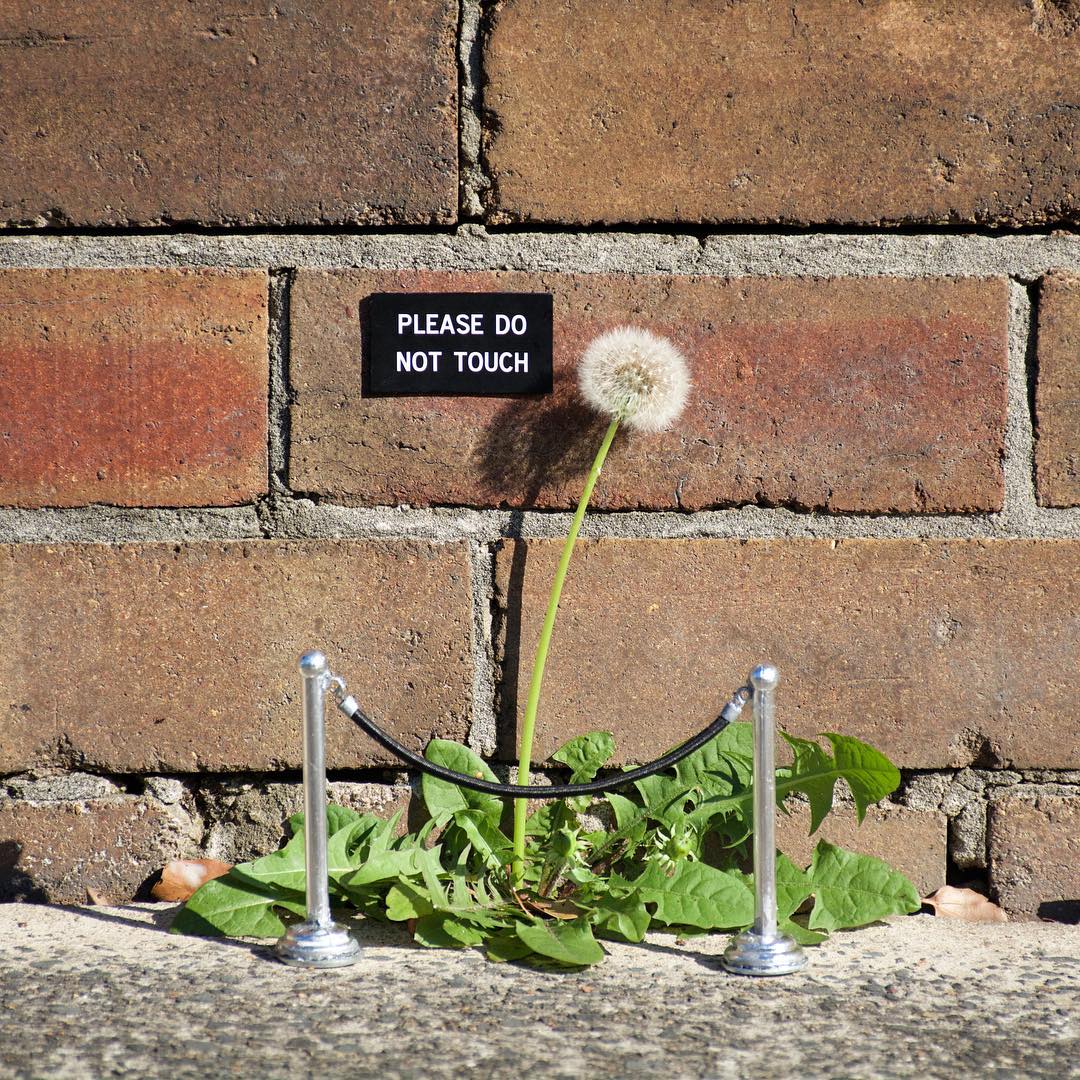 Humorous Street Art by Michael Pederson