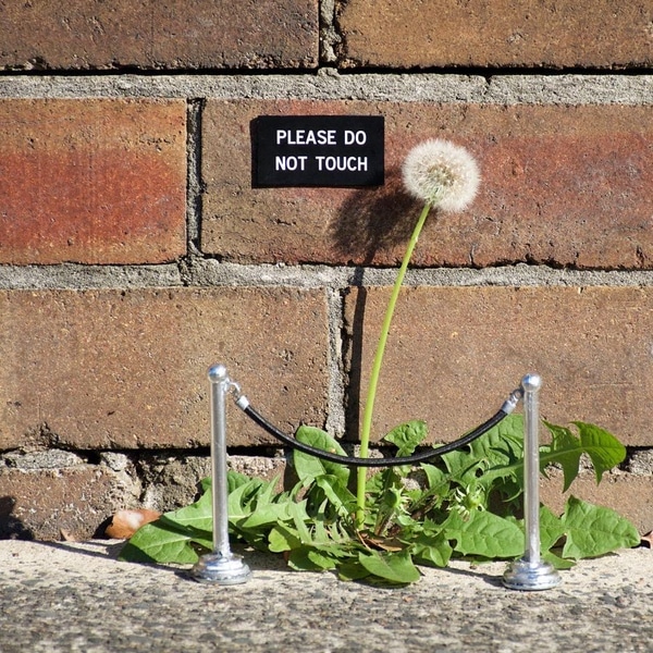 michael-pederson-miguel-marquez-outside-