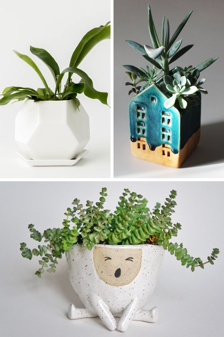 Modern meets natural in this assortment of planters, Porta Forma