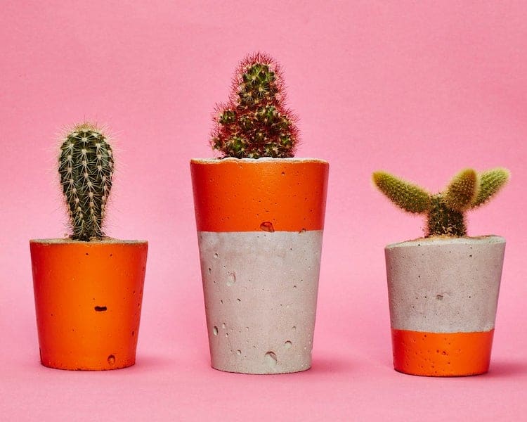 https://mymodernmet.com/wp/wp-content/uploads/2018/06/modern-planters-update-17.jpeg