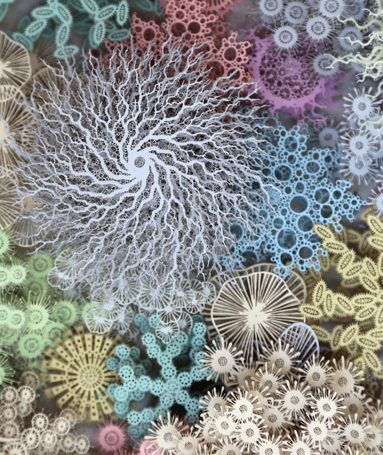 Paper Art Coral Reef Human Microbiome by Rogan Brown