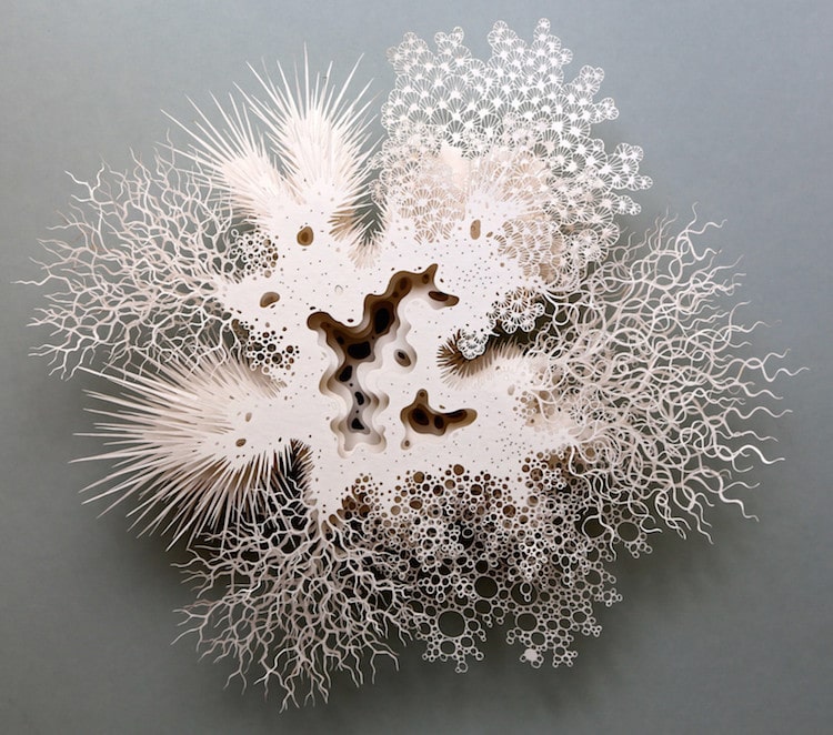 Paper Art Coral Reef Human Microbiome by Rogan Brown