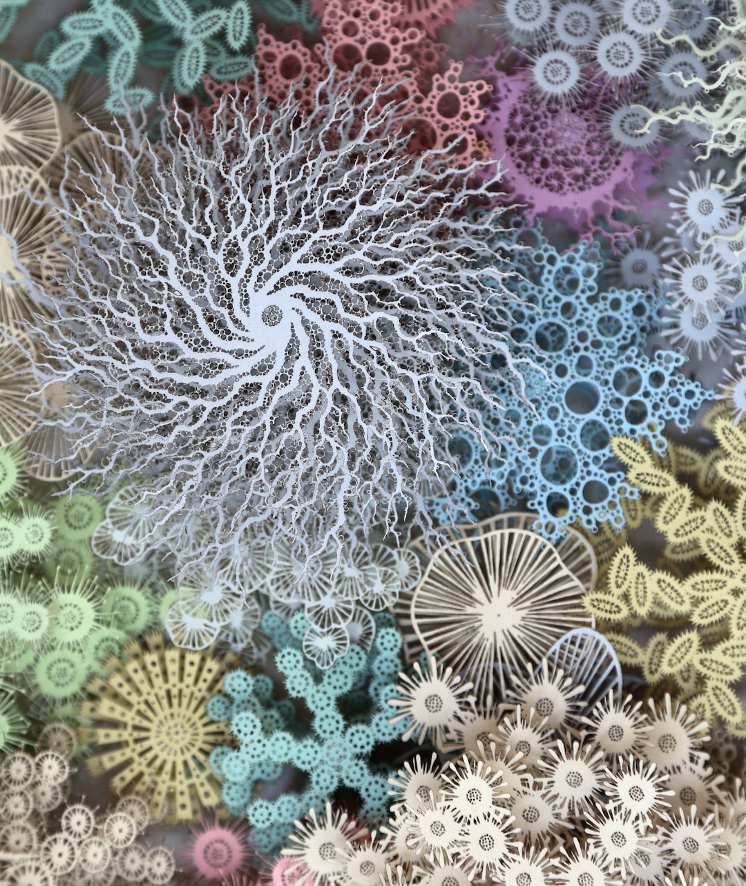 Paper Art Coral Reef Human Microbiome by Rogan Brown