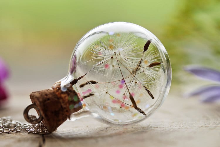 Resin Flower Jewelry Made from Flowers 