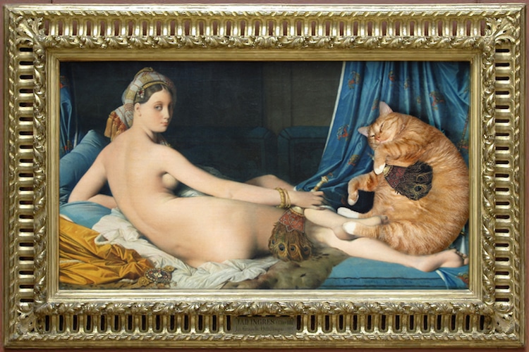  Recreando Arte con Gato Naranja Gordo por Svetlana Petrova