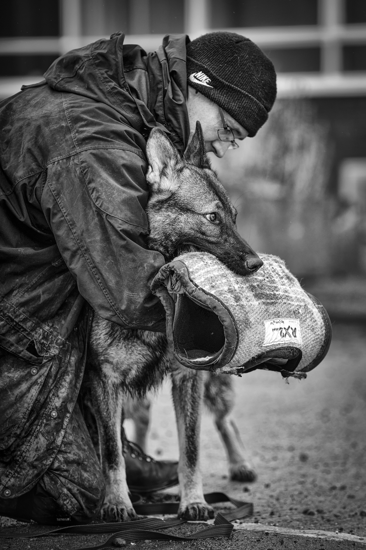 2018 Dog Photographer of the Year Dog Photos by The Kennel Club