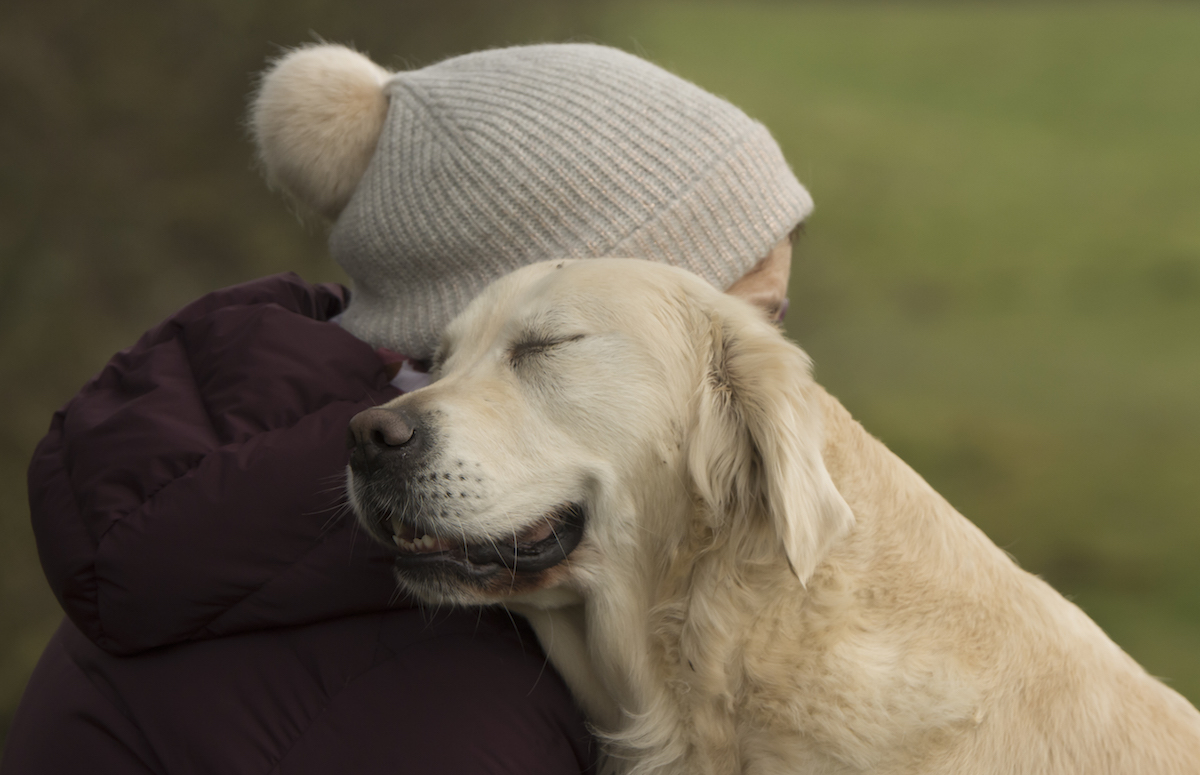 2018 Dog Photographer of the Year Dog Photos by The Kennel Club