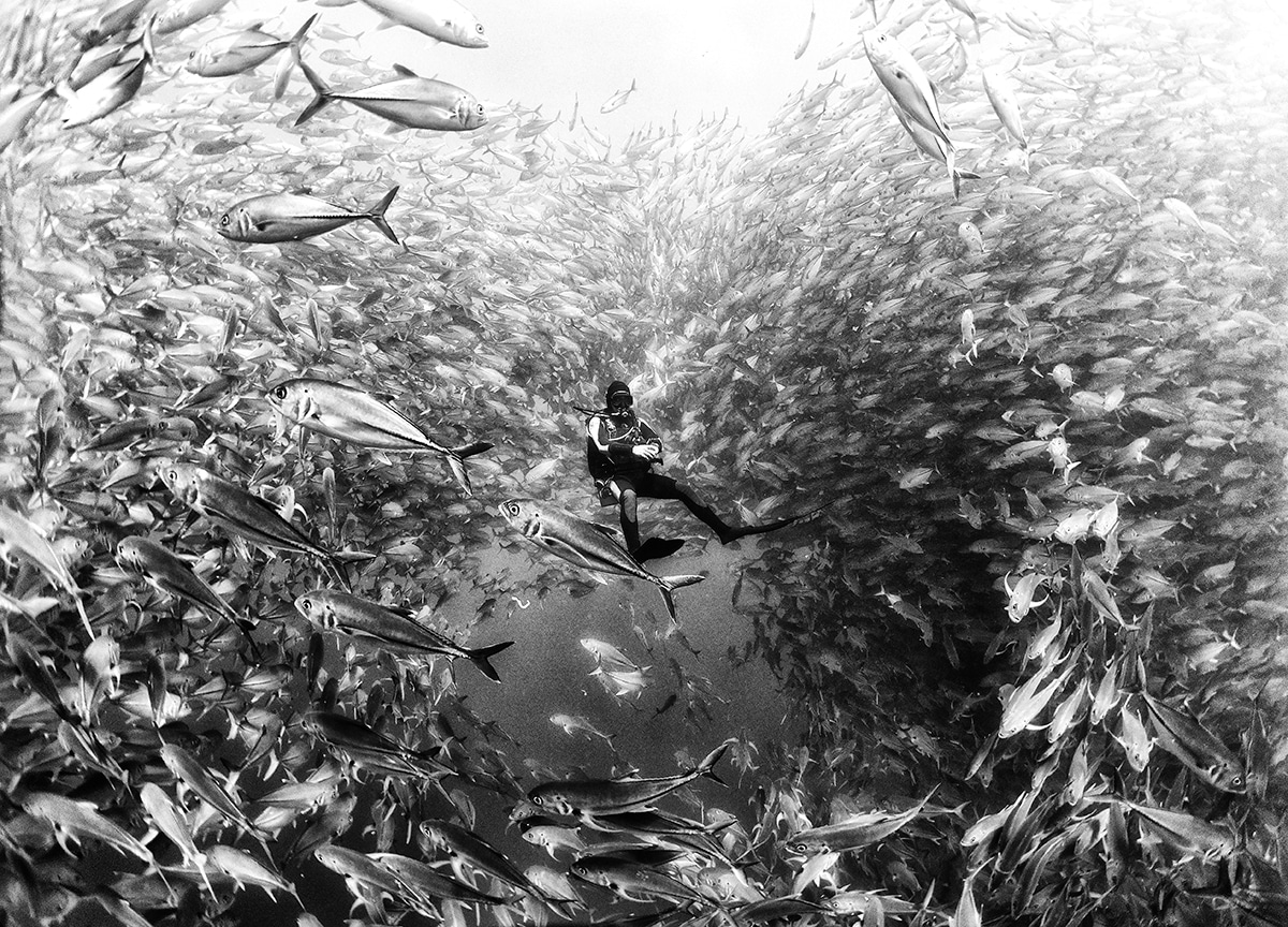Anuar Patjane Floriuk Underwater Photographer