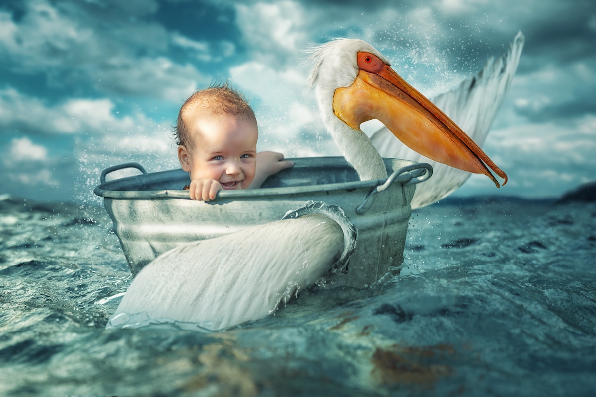 Funny Family Photos by John Wilhelm 