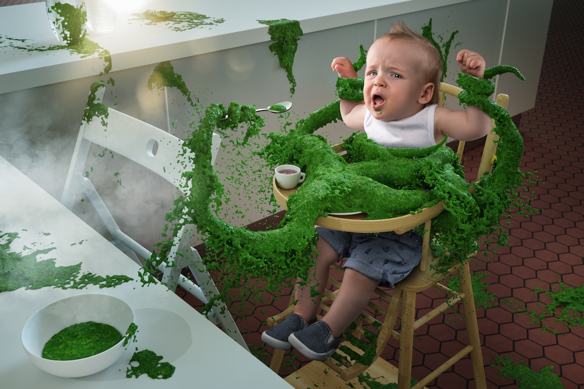 Funny Family Photos by John Wilhelm 