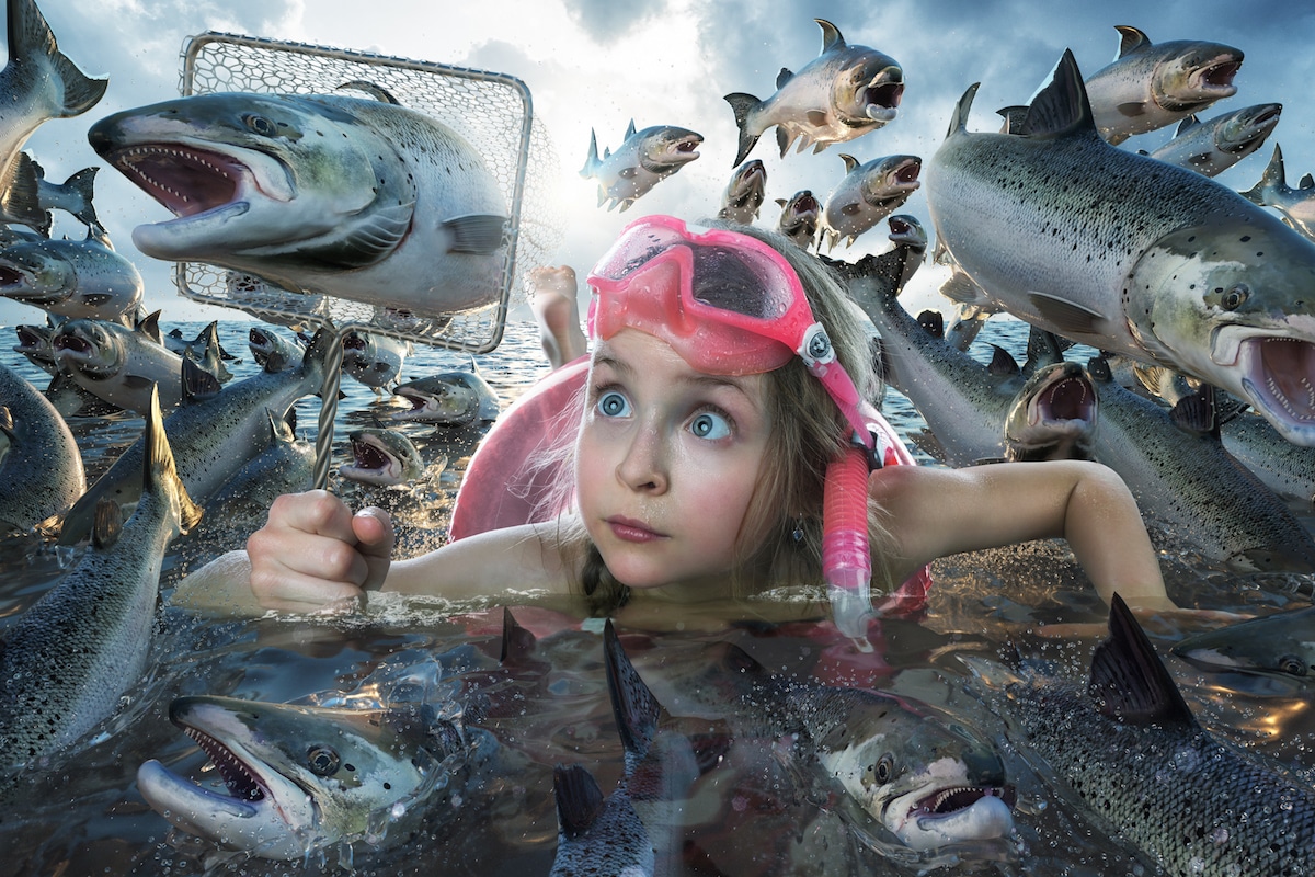 Funny Family Photos by John Wilhelm 