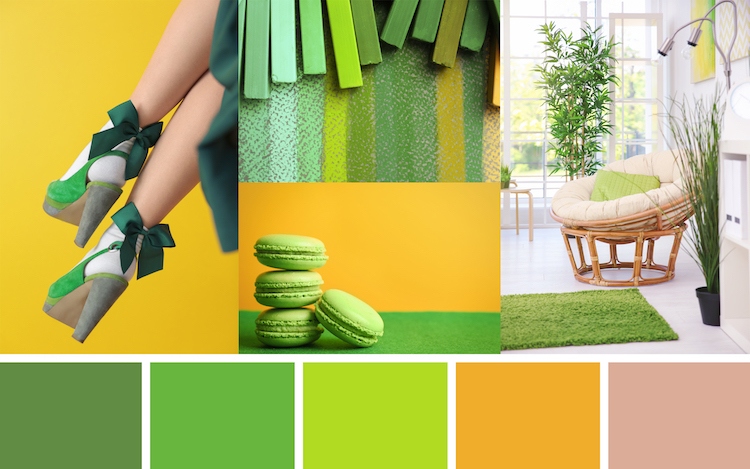 Websites with a Green Color Palette That Look Amazing